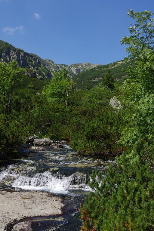 Studio Livia Vysoké Tatry エクステリア 写真